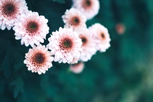非全日制專升本的第一學歷是本科嗎？
