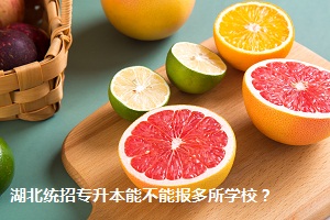 湖北統(tǒng)招專升本能不能報多所學(xué)校？