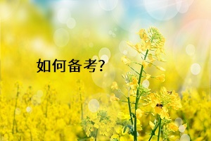 如何備考？