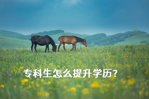 ?？粕嵘龑W歷的方式有哪幾種？畢業(yè)后還能報考普通專升本考試嗎？
