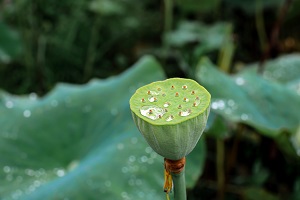 ?？粕捅究粕啾仁遣皇窍嗖詈苓h(yuǎn)？專科生和本科生的差距究竟在哪里？