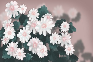 能否報(bào)考？