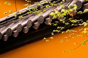 普通專(zhuān)升本備考的第一步是先擇校還是先選專(zhuān)業(yè)？
