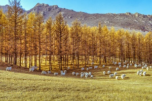 湖北專升本考試多少分能過(guò)？考不及格是不是就沒(méi)戲了？