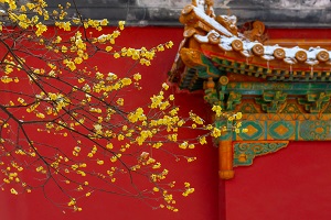 全日制普通專(zhuān)升本和本科有區(qū)別嗎？哪些地方是不同的？