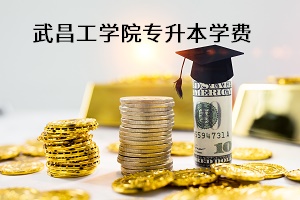 武昌工學院專升本學費